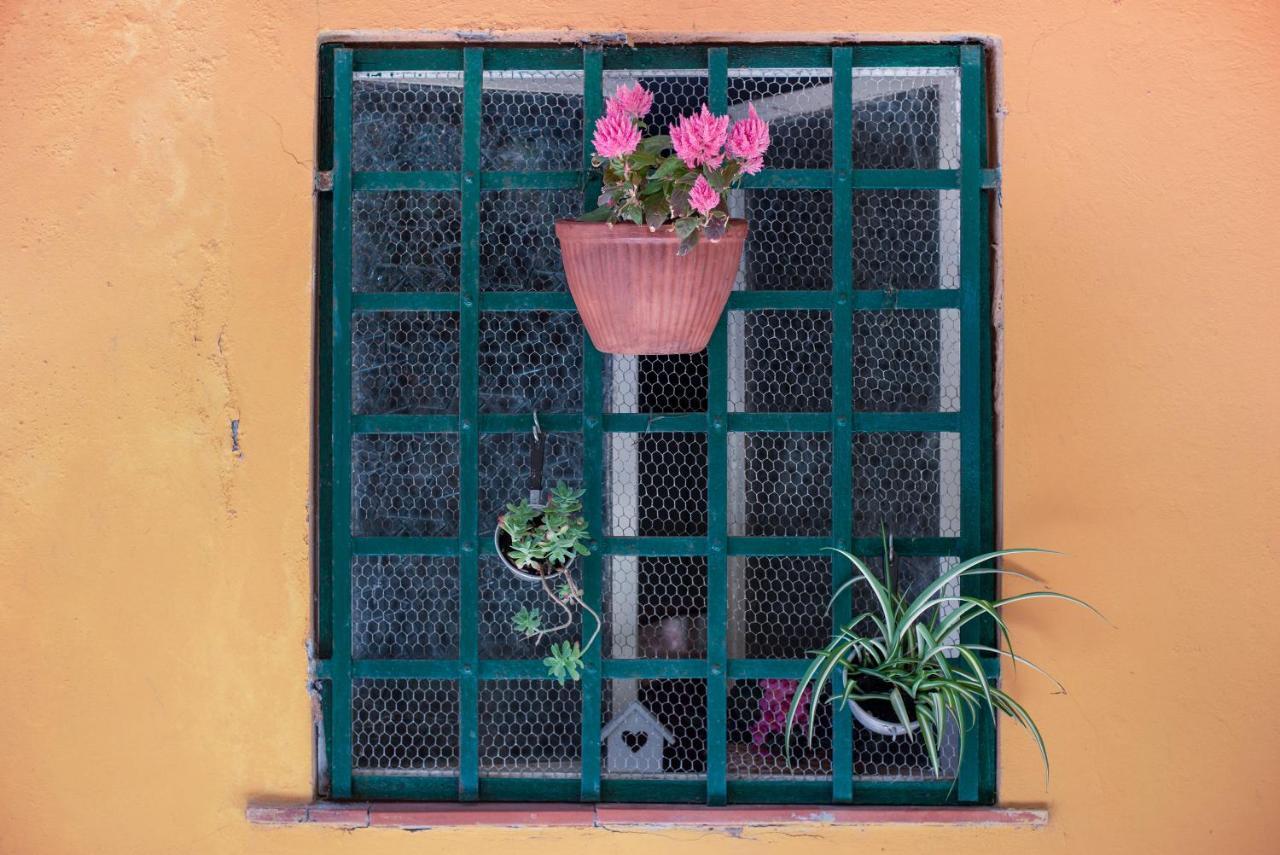 Appartement Un'Oasi Al Mare à Moneglia Extérieur photo